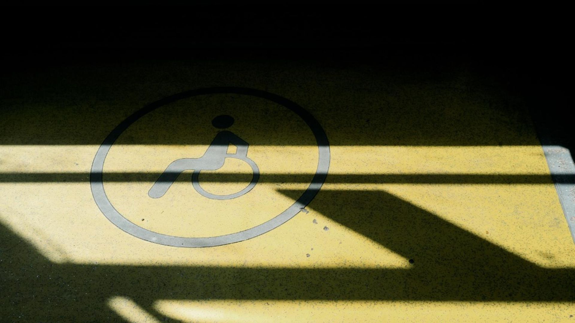 Friends for All Closer to People with Disabilities.jpg